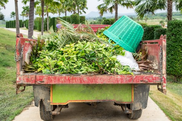 Cleaning dry leaves with basket in garden on rear truck