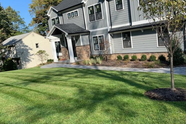 Lawn Maintenance