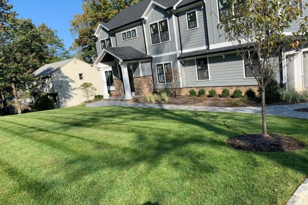PALAFOX (8)