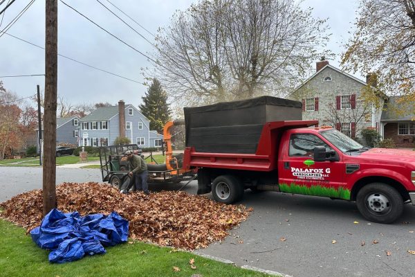Spring & Fall Clean Up